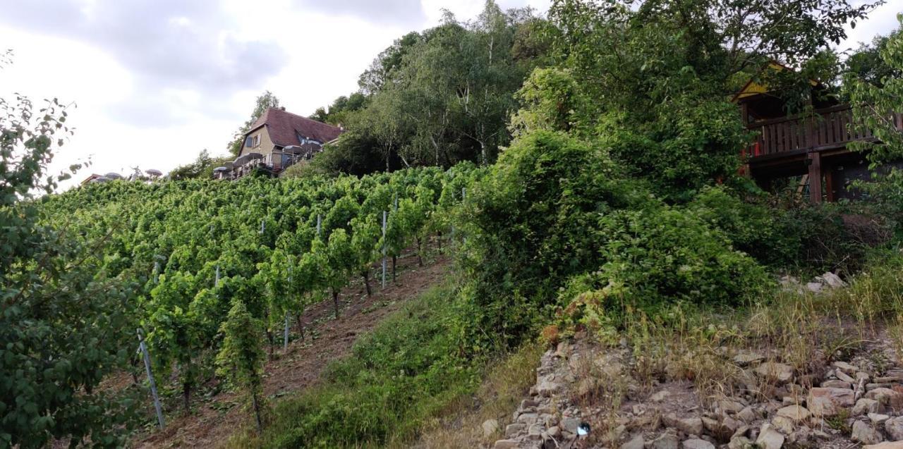 Ferienwohnung am Hollergraben Oberschwarzach Exterior foto